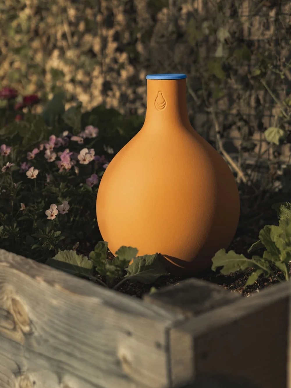 Large Growoya Terracotta Self Watering Pot New in Box